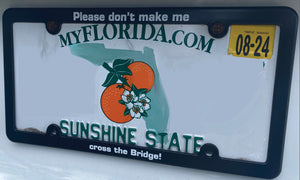 Bridge License Plate Frame