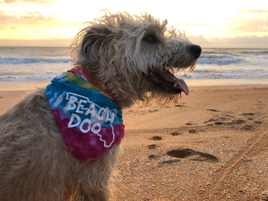 Dog Bandana Beach Dog
